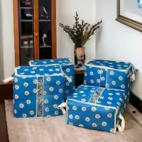 Premium Non Woven Storage Bag | Flower Print (Set of 2)