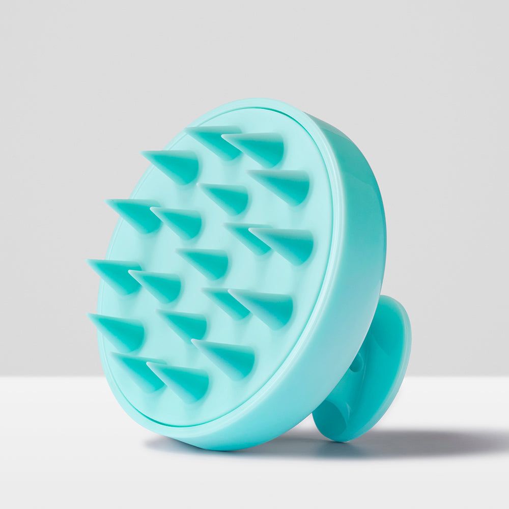 Hair Scalp Massager &  Shampoo Brush